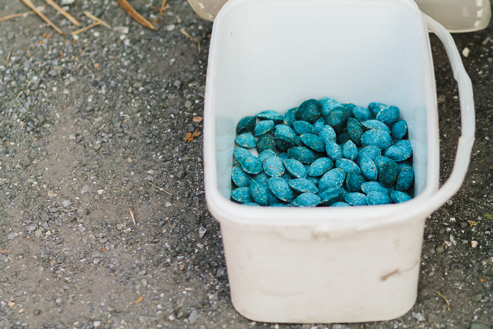 Les rodenticides sont des substances chimiques conçues pour éliminer les rongeurs par ingestion.